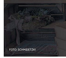 DIE HARKE vom 09.03.2018-Teilbild